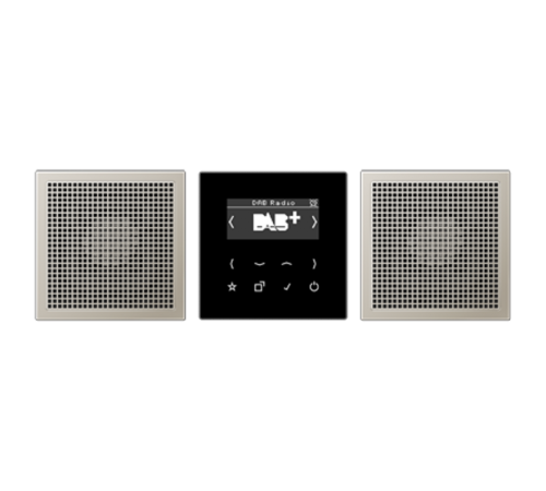 Смарт радио DAB+, стерео; черный/нержавеющая сталь  DABES2  Jung