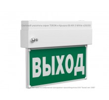 Световой указатель аварийного освещения светодиодный BS-TERON-10-S1-ELON 3,9Вт IP65 централизованный накладной  a17038  Белый свет