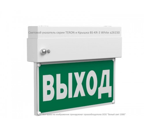 Световой указатель аварийного освещения светодиодный BS-TERON-10-S1-ELON 3,9Вт IP65 централизованный накладной  a17038  Белый свет