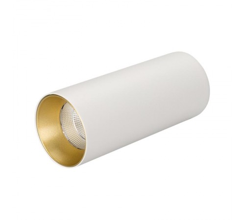 Светильник SP-POLO-SURFACE-R65-8W Day4000 (WH-GD, 40 deg)  027505  Arlight