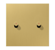 Центральная плата, 1 пост, 2 тумблера, конус с окошком; металлическое исполнение; латунь классик; серия LS  ME12-5KOCK25  Jung