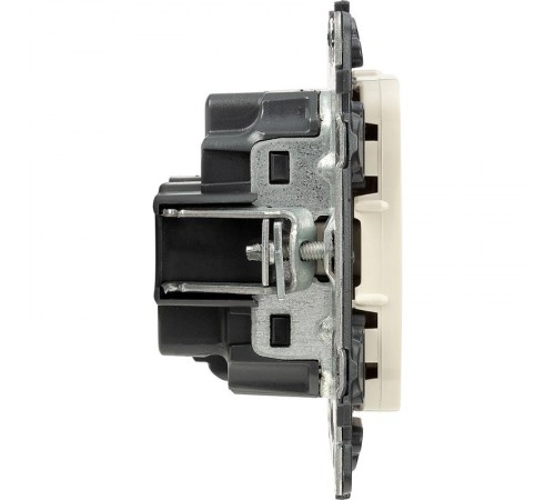 Valena ALLURE DIY Сл.кость Розетка 1-ая с/з с защитными шторками, безвинт.зажим  753820  Legrand