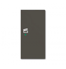 SRS-2-R-95 Клавиша двойная правая free@home, сцена, Basic 55, цвет chateau-black  6220-0-0698   2CKA006220A0698  ABB