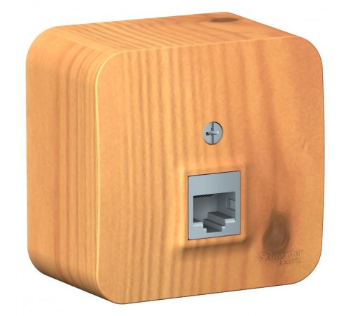 Blanca Ясень О/У с изолирующей пластиной Ясень Розетка компьютерная RJ45, кат.5E  BLNIA045005  SE