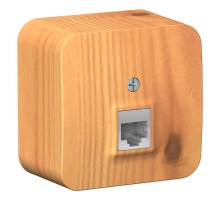 Blanca Ясень О/У с изолирующей пластиной Ясень Розетка компьютерная RJ45, кат.5E  BLNIA045005  SE