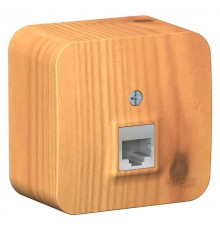 Blanca Ясень О/У с изолирующей пластиной Ясень Розетка компьютерная RJ45, кат.5E  BLNIA045005  SE