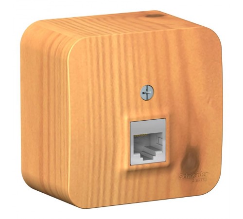 Blanca Ясень О/У с изолирующей пластиной Ясень Розетка компьютерная RJ45, кат.5E  BLNIA045005  SE