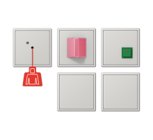Аварийная система с ИБП NRSLS0834-2LG Jung