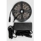 Лента светодиодная LS606 с драйвером 60Вт 60SMD(5050)/м 14.4Вт/м 12V 3000*10*2,32мм 6500К  27720  FERON