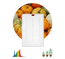 Фитопрожектор для растений светодиодный полного спектра FITO-160W-LED-QB 160 Вт Quantum board  Б0057283  ЭРА