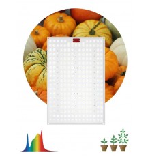 Фитопрожектор для растений светодиодный полного спектра FITO-160W-LED-QB 160 Вт Quantum board  Б0057283  ЭРА