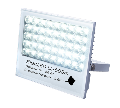 Прожектор светодиодный  50Вт SkatLED LL-508m  618  Бастион
