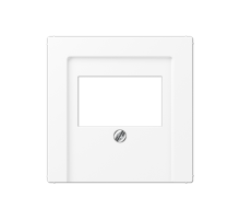 Накладка на USB зарядные устройства и TAE-розетки; с видимым винтом; термопласт; белый матовый  A569BFPLTWWM  Jung