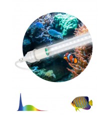 Фитолампа для растений светодиодная FITO-15W-Ra90-Т8-AQUA для аквариума, 15 Вт, полный спектр  Б0057418  ЭРА