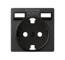 Накладка для розетки Schuko с зарядным устройством 2хUSB цвета графит S82  8200049-038  Simon