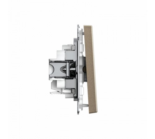 ArtGallery Шампань Выключатель 1-клавишный , 10АХ, механизм, быстрозажим. клем.  GAL000511S  SE