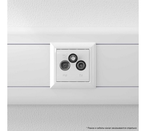 TV-FM-SAT розетка "Белое облако" "Avanti", 1 мод  4400532  DKC