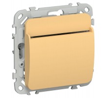 FLITE Выключатель карточный 30А ВК-0-ФлЗ золотарник  FI-V11-0-10-K90  IEK