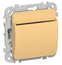 FLITE Выключатель карточный 30А ВК-0-ФлЗ золотарник  FI-V11-0-10-K90  IEK