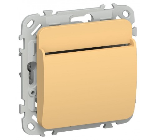 FLITE Выключатель карточный 30А ВК-0-ФлЗ золотарник  FI-V11-0-10-K90  IEK