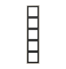 Рамка для вертикальной и горизонтальной установки, 5 постов; металл; нержавеющая сталь; Edelstahl  ES2985  Jung