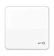 Клавиша ударопрочная с символом "ключ"; белая  CD590BFTWW  Jung