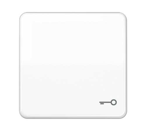 Клавиша ударопрочная с символом "ключ"; белая  CD590BFTWW  Jung