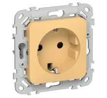 FLITE Розетка с заземлением со шторками быстрозажимные клеммы 16А РСш11-1-ФлЗ золотарник  FI-R14-16-1-K90  IEK