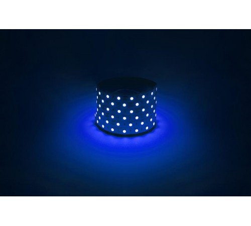 Лента светодиодная  LS5050 -14,4-60-12-B-IP20-1 year-5m синий 5м  Б0059921  ЭРА