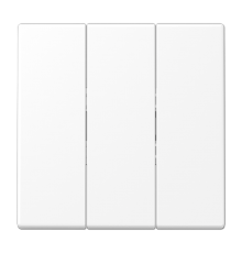 Клавиша для трёхклавишных механизмов; термопласт; белый матовый  LS993BFWWM  Jung