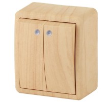 Выключатель 2-клавишный с подсветкой 11-1205-11 , 10АХ-250В, ОУ, Эксперт, Сосна (16) Б0020668  ЭРА