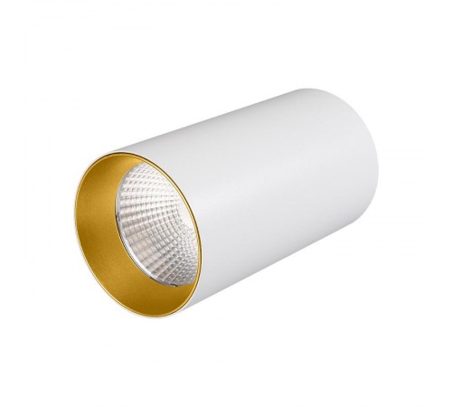Светильник накладной SP-POLO-R85-1-15W Day White 40deg (White, Gold Ring)  022941  Arlight