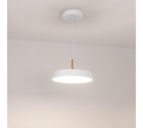 Светильник SP-ELEGANT-R300-17W Day4000 (WH, 120 deg, 230V) (arlight, IP20 Металл, 3 года)  033919  Arlight