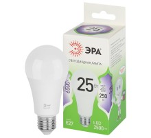 Лампа светодиодная  GREEN LINE LED A60-25W-865-E27 GL E27 25 Вт груша холодный свет  Б0067111  ЭРА