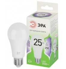 Лампа светодиодная  GREEN LINE LED A60-25W-865-E27 GL E27 25 Вт груша холодный свет  Б0067111  ЭРА