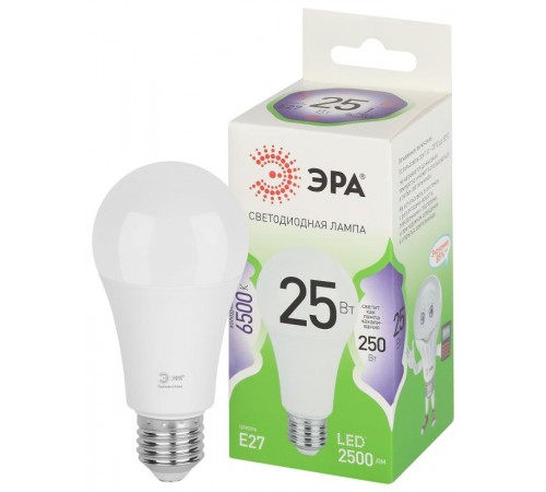 Лампа светодиодная  GREEN LINE LED A60-25W-865-E27 GL E27 25 Вт груша холодный свет  Б0067111  ЭРА