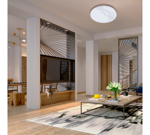 Светильник светодиодный декоративный бытовой PPB WAVE 24w 4000K IP20 D260*55  .5024649  Jazzway