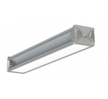 Светильник светодиодный промышленный L-industry NEW 24/23/Д/5,0K/03/IKII-21/220AC IP66 матовое стекло  511102300753200  LEDEL