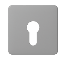 центральная плата для вставки с ключом CD525GR Jung