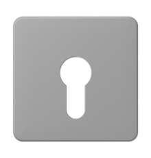 центральная плата для вставки с ключом CD525GR Jung