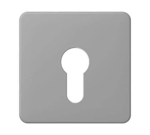 центральная плата для вставки с ключом CD525GR Jung