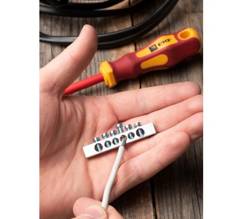 Шина PEN "ноль-земля" (6x9мм) 6 отв. цинк крепеж по краям  sn1-63-06-k  EKF