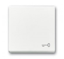 Клавиша для механизма 1-клавишного выключателя, c символом ""КЛЮЧ"" Future/Axcent/Carat/Династия, альп. белый"  2CKA001751A3199  ABB