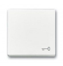 Клавиша для механизма 1-клавишного выключателя, c символом ""КЛЮЧ"" Future/Axcent/Carat/Династия, альп. белый"  2CKA001751A3199  ABB