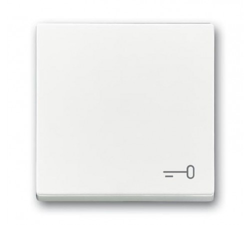 Клавиша для механизма 1-клавишного выключателя, c символом ""КЛЮЧ"" Future/Axcent/Carat/Династия, альп. белый"  2CKA001751A3199  ABB