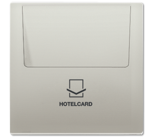 Накладка-картодержатель для балансирных механизмов 531U, 532U, 533U, 534U; термопласт; нержавеющая сталь; Edelstahl  ES2990CARD  Jung