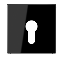 Крышка к выключателю для замочного механизма; чёрная  LS925SW  Jung