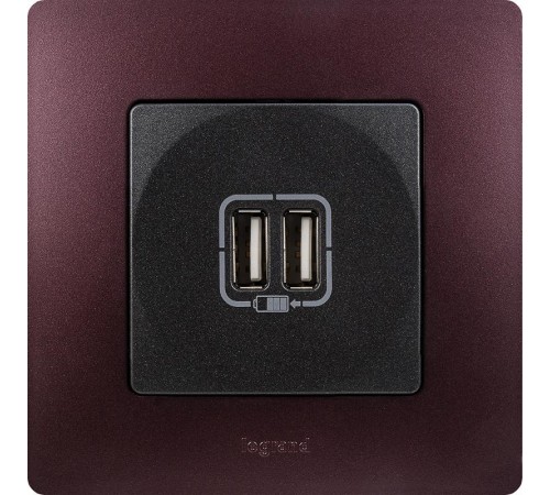 Etika Антрацит Розетка USB 2-ая 240В/5В 2400мА  672694  Legrand