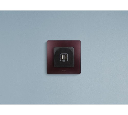 Etika Антрацит Розетка USB 2-ая 240В/5В 2400мА  672694  Legrand