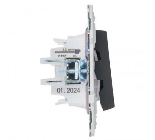 SKANDY Выключатель 2-клавишный проходной 10А SK-V05G графит  SK-V22-0-10-K53  IEK